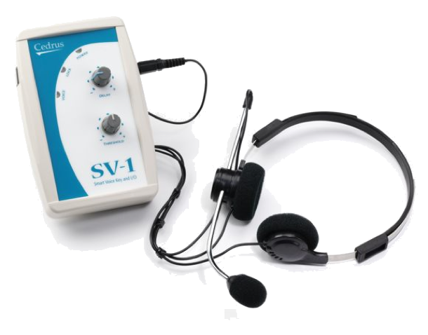 Voice key for research