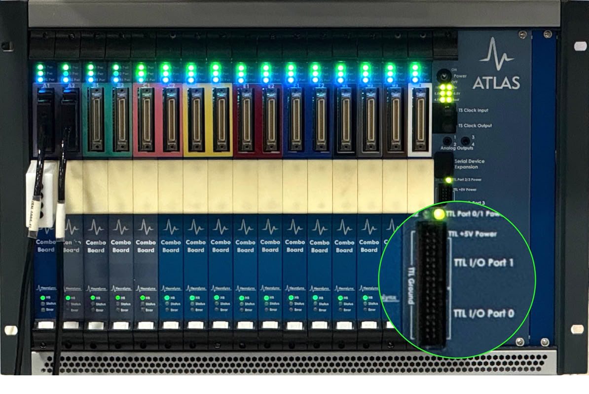 Photo showing where to plug the ribbon cable of m-pod for NeuraLynx,.